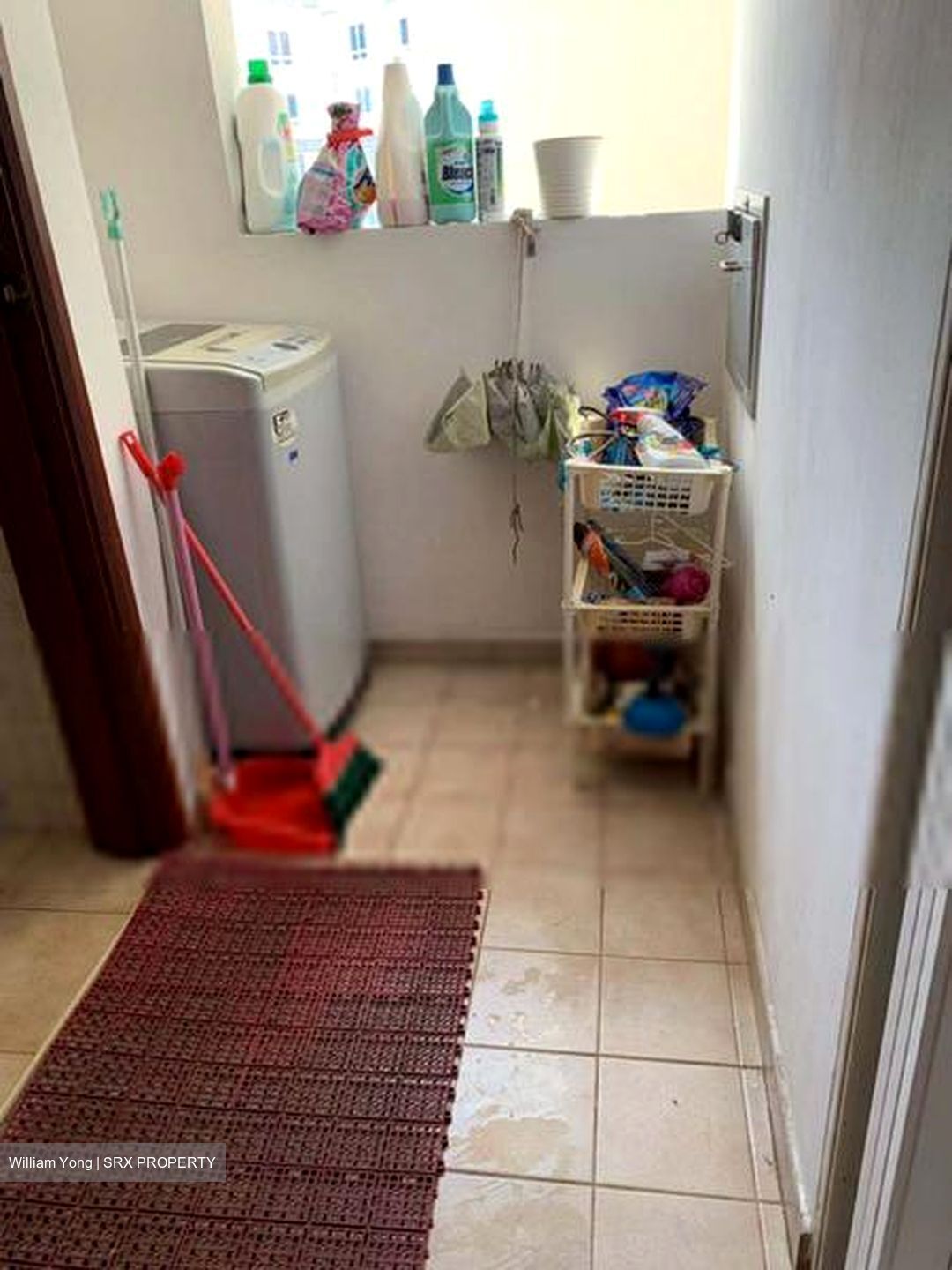 The Tropica (D18), Condominium #607507801